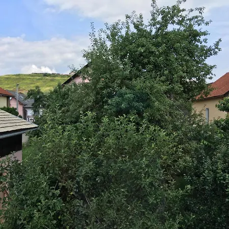 Domek letniskowy Family *