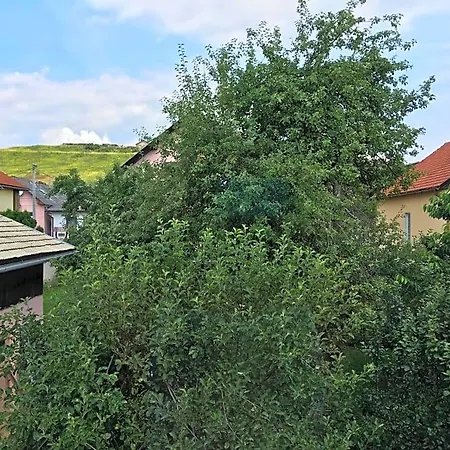 Family * Hrabušice